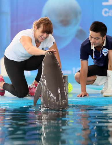 我可以帮你 我可以帮你